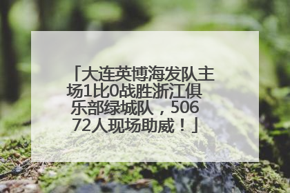 大连英博海发队主场1比0战胜浙江俱乐部绿城队，50672人现场助威！