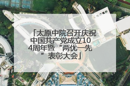 太原中院召开庆祝中国共产党成立104周年暨“两优一先”表彰大会