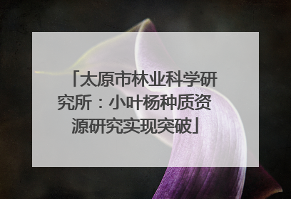 太原市林业科学研究所：小叶杨种质资源研究实现突破