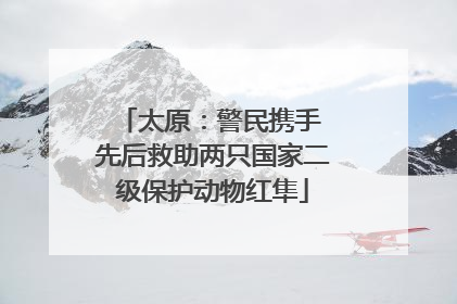 太原：警民携手 先后救助两只国家二级保护动物红隼