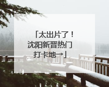 太出片了！沈阳新晋热门打卡地→