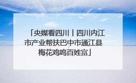 央媒看四川丨四川内江市产业帮扶巴中市通江县 梅花鸡鸣百姓富