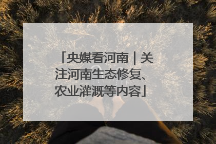 央媒看河南｜关注河南生态修复、农业灌溉等内容