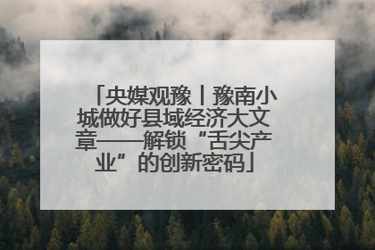 央媒观豫丨豫南小城做好县域经济大文章——解锁“舌尖产业”的创新密码