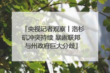 央视记者观察丨洛杉矶冲突持续 暴露联邦与州政府巨大分歧