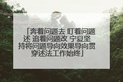 奔着问题去 盯着问题述 追着问题改 宁夏坚持将问题导向效果导向贯穿述法工作始终