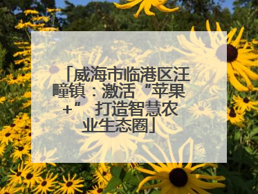威海市临港区汪疃镇：激活“苹果+” 打造智慧农业生态圈
