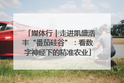 媒体行｜走进凯盛浩丰“番茄硅谷”：看数字神经下的精准农业
