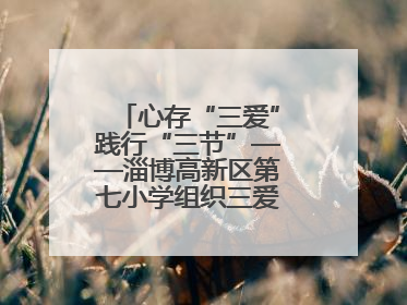 心存“三爱”践行“三节”——淄博高新区第七小学组织三爱三节主题活动