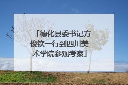 德化县委书记方俊钦一行到四川美术学院参观考察