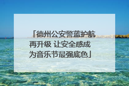 德州公安警蓝护航再升级 让安全感成为音乐节最强底色