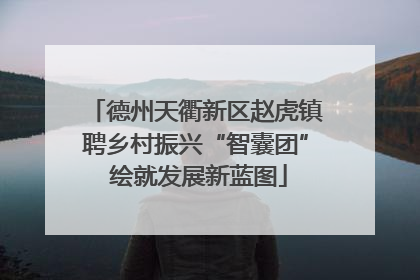 德州天衢新区赵虎镇聘乡村振兴“智囊团” 绘就发展新蓝图