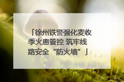 徐州铁警强化麦收季火患管控 筑牢线路安全“防火墙”