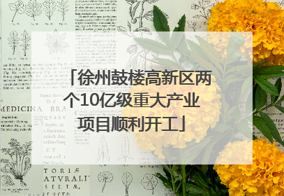 徐州鼓楼高新区两个10亿级重大产业项目顺利开工