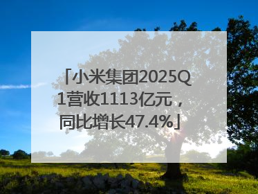 小米集团2025Q1营收1113亿元，同比增长47.4%