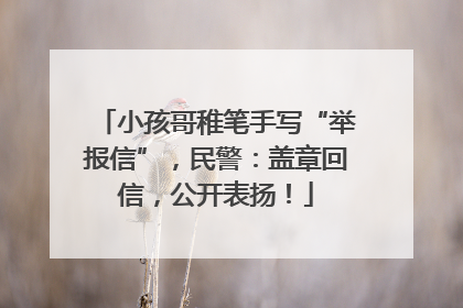 小孩哥稚笔手写“举报信”，民警：盖章回信，公开表扬！
