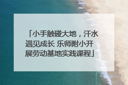 小手触碰大地，汗水遇见成长 乐师附小开展劳动基地实践课程