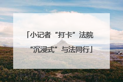 小记者“打卡”法院 “沉浸式”与法同行