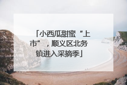 小西瓜甜蜜“上市”，顺义区北务镇进入采摘季