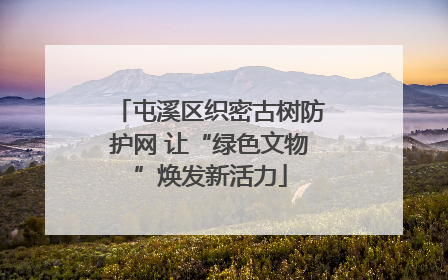 屯溪区织密古树防护网 让“绿色文物”焕发新活力
