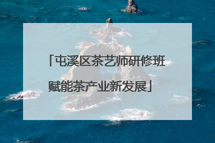 屯溪区茶艺师研修班赋能茶产业新发展