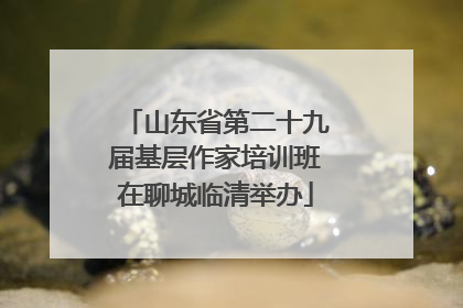 山东省第二十九届基层作家培训班在聊城临清举办