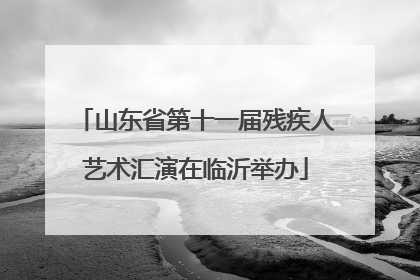 山东省第十一届残疾人艺术汇演在临沂举办