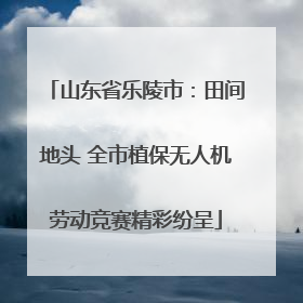 山东省乐陵市：田间地头 全市植保无人机劳动竞赛精彩纷呈
