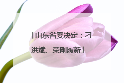 山东省委决定：刁洪斌、荣刚履新