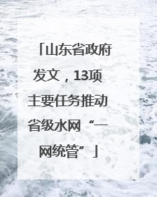山东省政府发文，13项主要任务推动省级水网“一网统管”