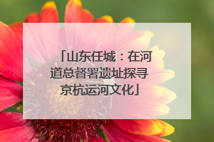 山东任城：在河道总督署遗址探寻京杭运河文化