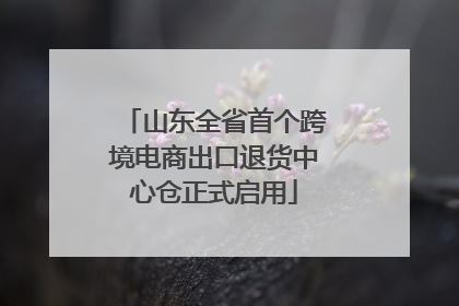 山东全省首个跨境电商出口退货中心仓正式启用