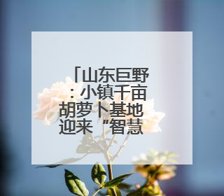山东巨野：小镇千亩胡萝卜基地迎来“智慧大丰收”