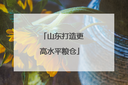 山东打造更高水平粮仓