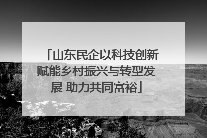 山东民企以科技创新赋能乡村振兴与转型发展 助力共同富裕