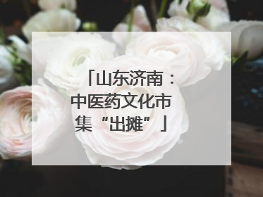 山东济南：中医药文化市集“出摊”