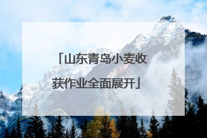 山东青岛小麦收获作业全面展开