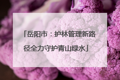 岳阳市：护林管理新路径全力守护青山绿水