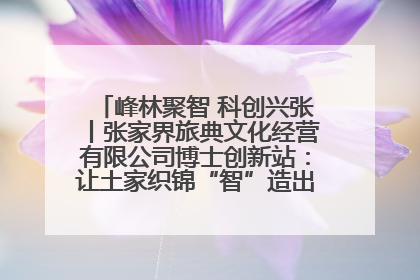 峰林聚智 科创兴张丨张家界旅典文化经营有限公司博士创新站：让土家织锦“智”造出非遗新传奇