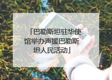 巴勒斯坦驻华使馆举办声援巴勒斯坦人民活动