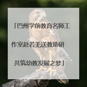 巴州学前教育名师工作室赴若羌送教助研 共筑幼教发展之梦