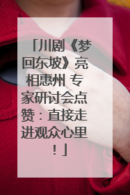 川剧《梦回东坡》亮相惠州 专家研讨会点赞：直接走进观众心里！