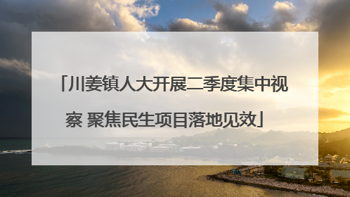 川姜镇人大开展二季度集中视察 聚焦民生项目落地见效