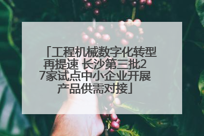 工程机械数字化转型再提速 长沙第三批27家试点中小企业开展产品供需对接