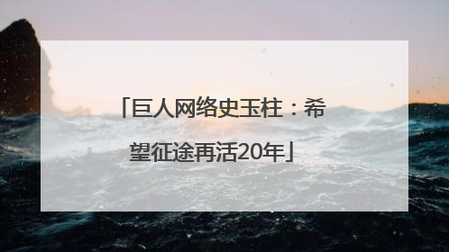 巨人网络史玉柱：希望征途再活20年