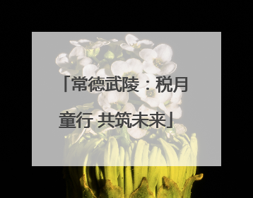常德武陵：税月童行 共筑未来