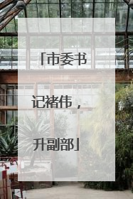市委书记褚伟，升副部