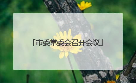 市委常委会召开会议