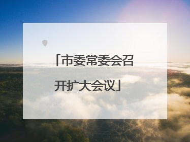 市委常委会召开扩大会议