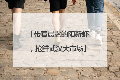 带着晨露的阳新虾，抢鲜武汉大市场